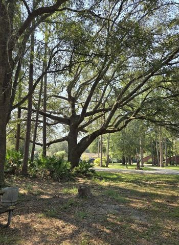 4320 SADDLEHORN TRAIL, Middleburg, FL 32068