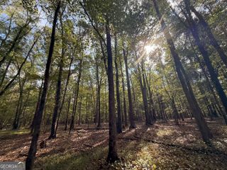 9896 Jefferson River Road, Athens, GA 30607