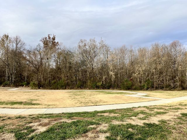 361A Wellows Chase, Spring Hill, TN 37174