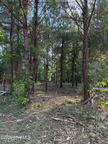 1602 Breezeway Drive SW, Ocean Isle Beach, NC 28469
