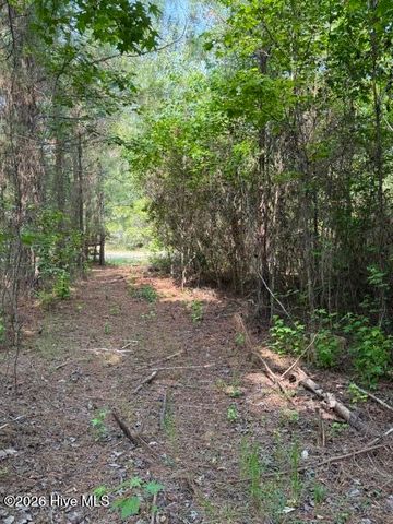 1602 Breezeway Drive SW, Ocean Isle Beach, NC 28469