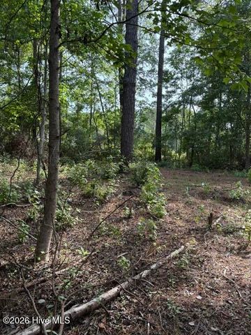 1602 Breezeway Drive SW, Ocean Isle Beach, NC 28469