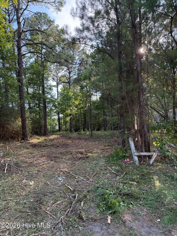 1602 Breezeway Drive SW, Ocean Isle Beach, NC 28469