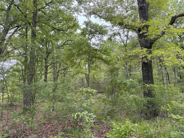 LOT 25 Rains County Road 2610, Alba, TX 75410