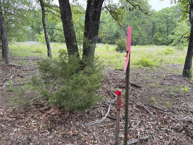 LOT 25 Rains County Road 2610, Alba, TX 75410