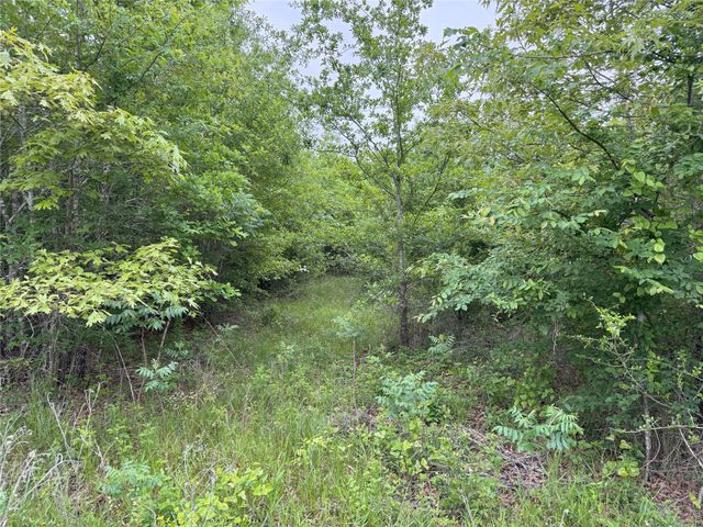 LOT 25 Rains County Road 2610, Alba, TX 75410