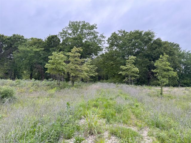 LOT 25 Rains County Road 2610, Alba, TX 75410