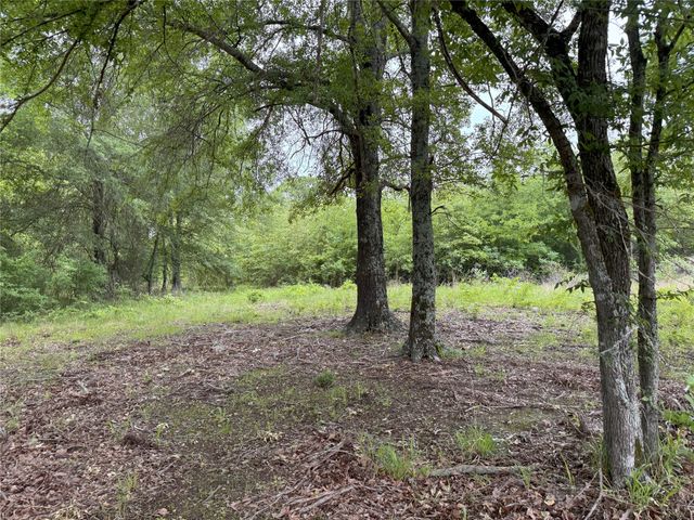 LOT 25 Rains County Road 2610, Alba, TX 75410