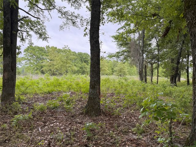 LOT 25 Rains County Road 2610, Alba, TX 75410