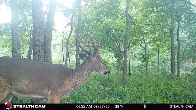 N2644 County Road O, Oxford, WI 53952