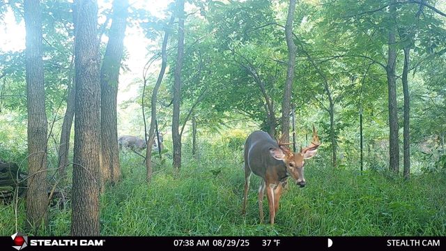 N2644 County Road O, Oxford, WI 53952