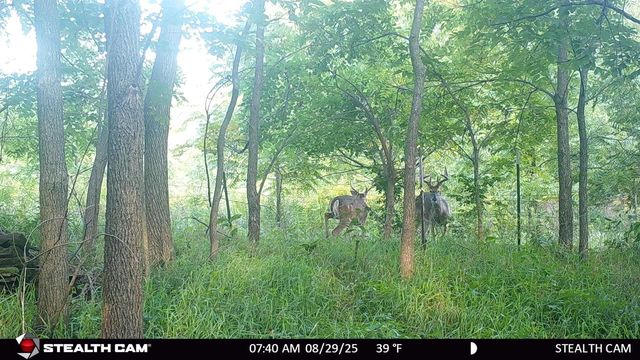 N2644 County Road O, Oxford, WI 53952