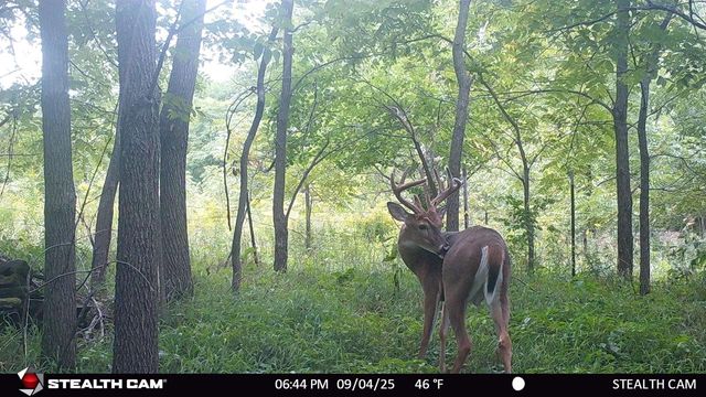 N2644 County Road O, Oxford, WI 53952