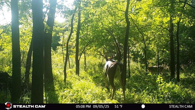 N2644 County Road O, Oxford, WI 53952