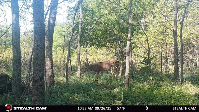 N2644 County Road O, Oxford, WI 53952