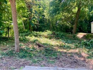 55 E Oak Street, Natchez, MS 39120