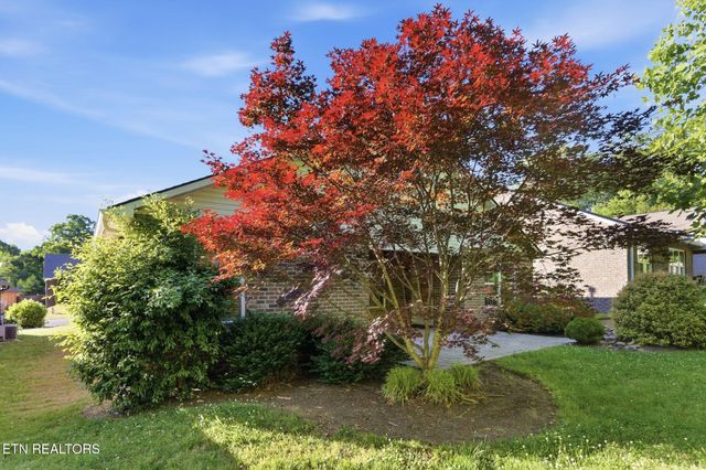 128 Ann Cove Lane, Powell, TN 37849