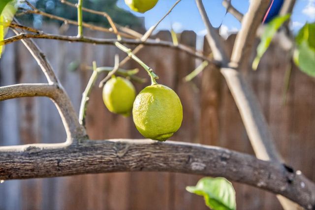 1828 Larkin Way, Sacramento, CA 95818