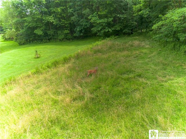 691 Kiantone Road, Kiantone, NY 14701