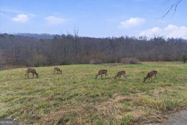 1478 Shinbone Valley Road, Lafayette, GA 30728