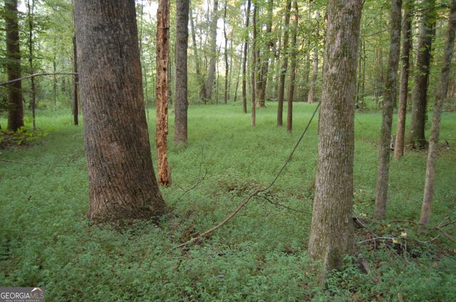 429 Frank Kelley Road, Canon, GA 30520