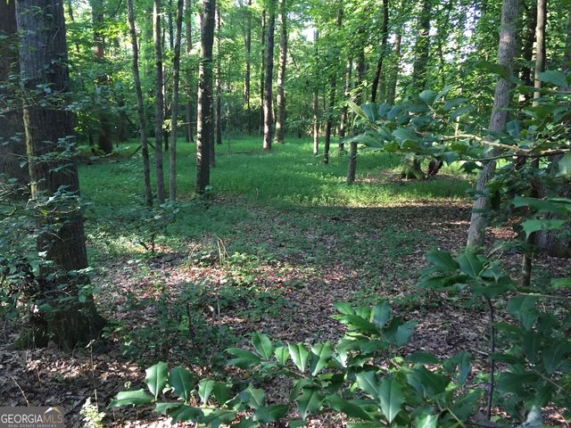 429 Frank Kelley Road, Canon, GA 30520