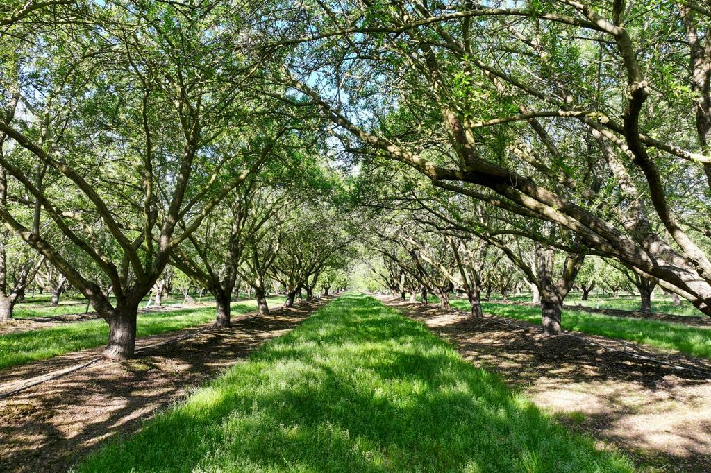 Image 4 of property listing at 0 Le Grand Road, Le Grand, CA 95333