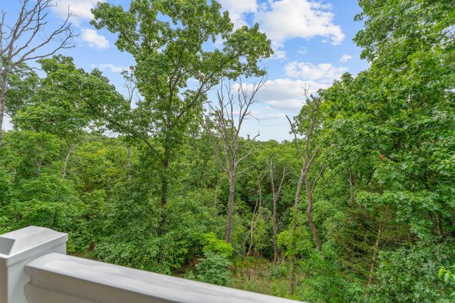 128 Mulligan Court, Branson, MO 65616