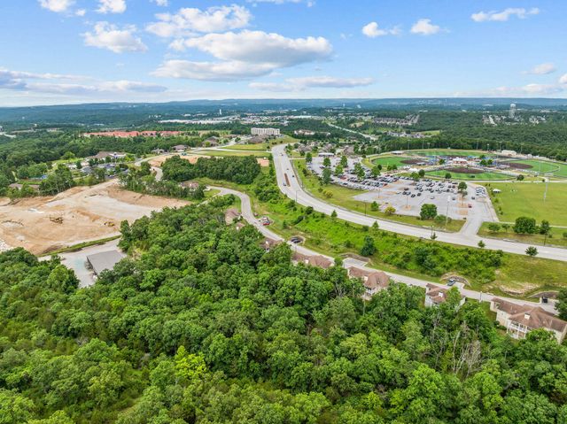 128 Mulligan Court, Branson, MO 65616