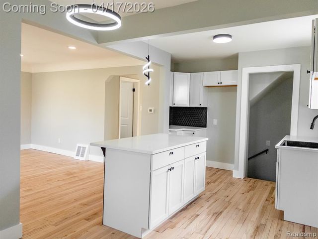 20030 Salem Street, Detroit, MI 48219