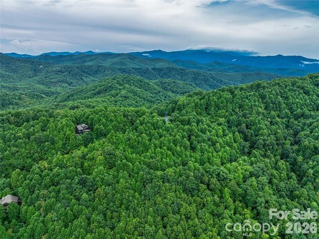 153 Kestrel Lane T-64, Black Mountain, NC 28711