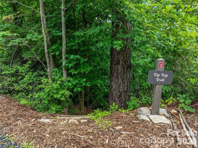 153 Kestrel Lane T-64, Black Mountain, NC 28711