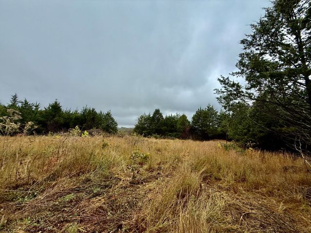 17456 Solo Road, Houston, MO 65483