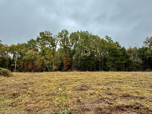 17456 Solo Road, Houston, MO 65483