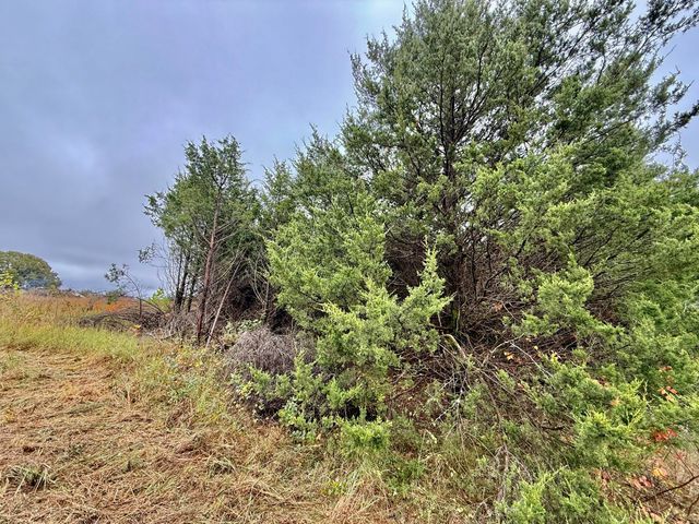 17456 Solo Road, Houston, MO 65483