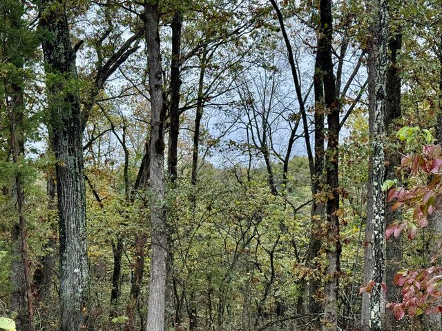 17456 Solo Road, Houston, MO 65483