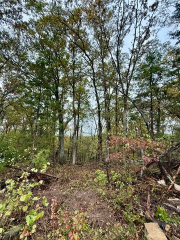 17456 Solo Road, Houston, MO 65483