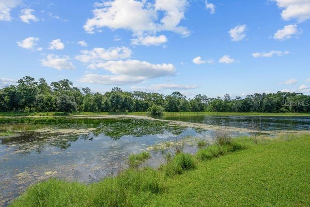 15424 OSPREY GLEN DRIVE, Lithia, FL 33547