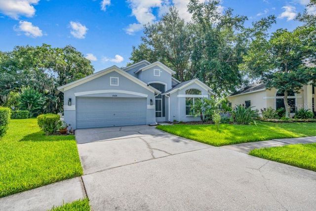 15424 OSPREY GLEN DRIVE, Lithia, FL 33547