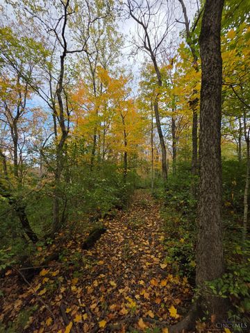 3338 N McLean Road, Franklin Twp, OH 45005