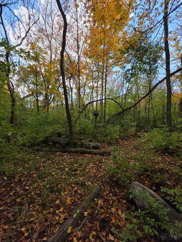 3338 N McLean Road, Franklin Twp, OH 45005