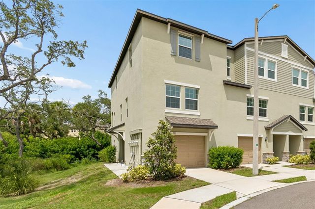 873 TENNYSON MILL CIRCLE, Tampa, FL 33619