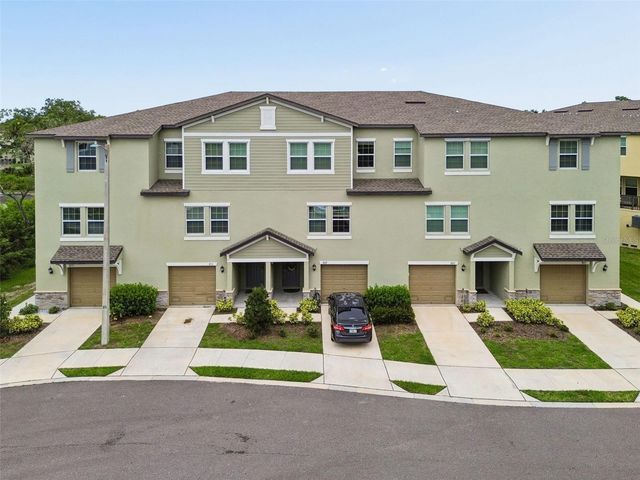 873 TENNYSON MILL CIRCLE, Tampa, FL 33619