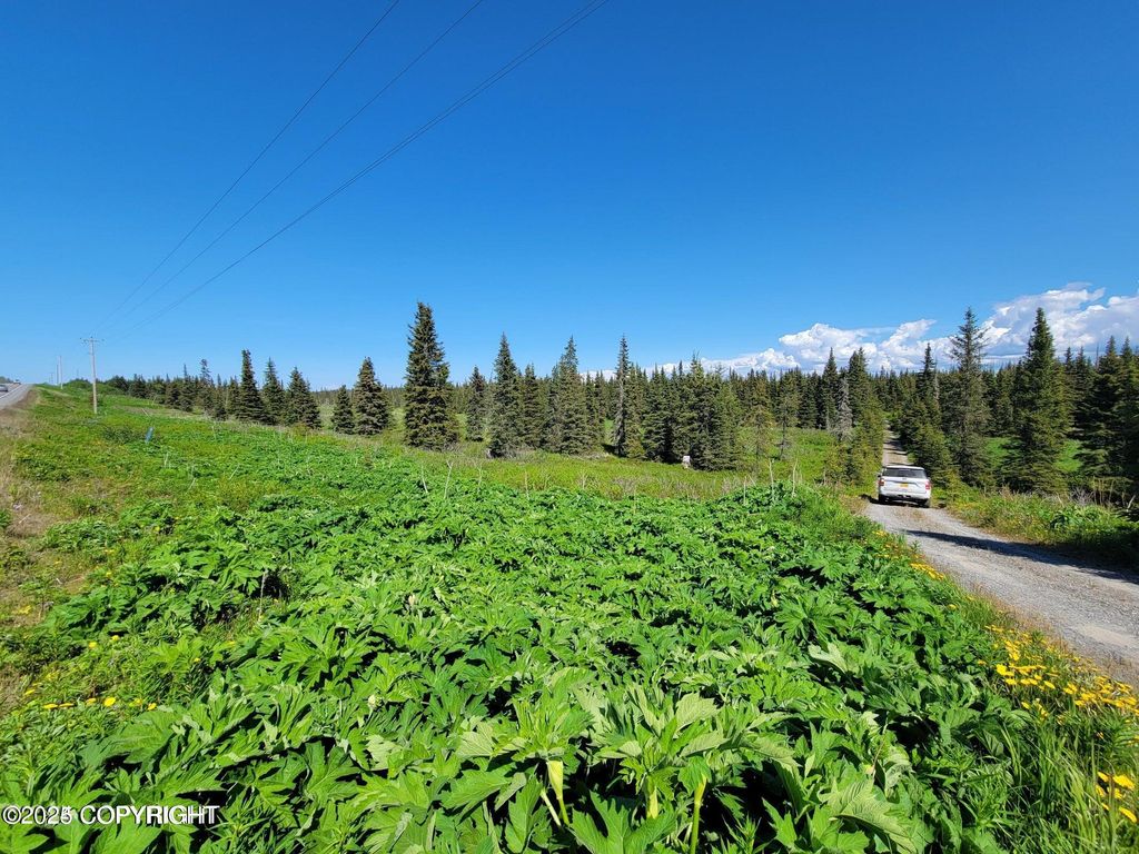 19870 Sterling Highway, Ninilchik, AK 99639