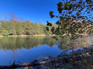 3105 Gratz Road, Owenton, KY 40359