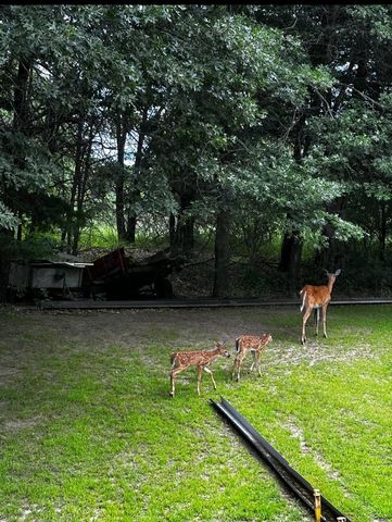 14315 250th Avenue NW, Zimmerman, MN 55398