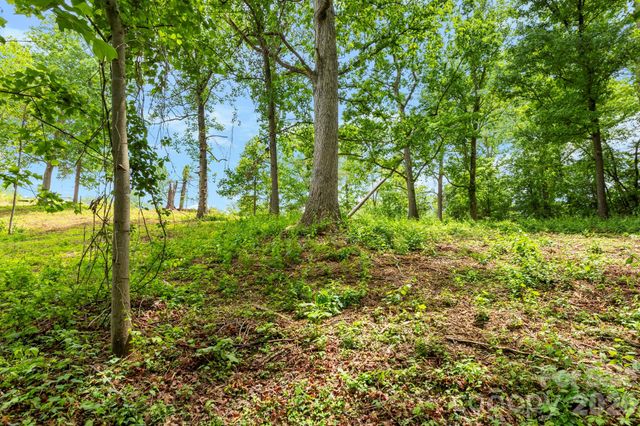 99999 Wild Goose Way 2R, Asheville, NC 28804