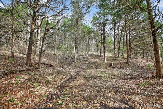 31338 Highway 32, Lebanon, MO 65536