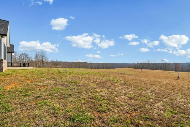 720 Moore Hollow Rd, Indian Mound, TN 37079