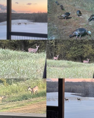 720 Moore Hollow Rd, Indian Mound, TN 37079